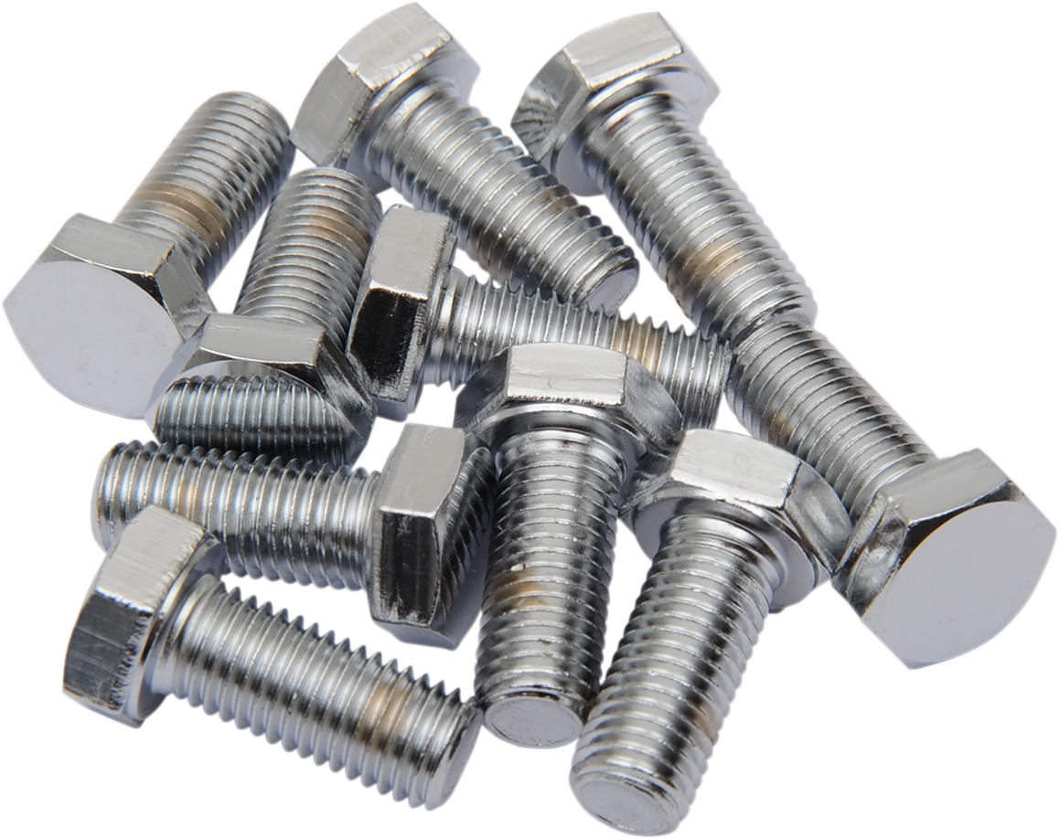 Set of 10 DRAG SPECIALTIES MPB146 fine thread hex head bolts, 5/16 inch diameter, 24 threads per inch, 5/8 inch length.
