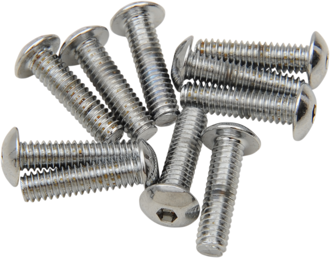 Set of 10 DRAG SPECIALTIES MPB261 button head replacement bolts, 8-32 x 1/2 inch, shown in this image.