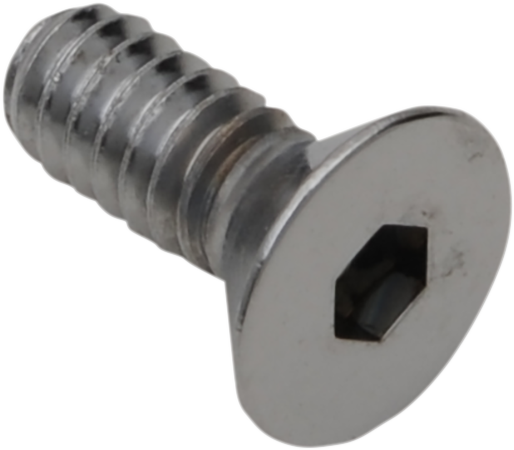 Chrome flat-head bolts by Drag Specialties, 10-24 x 3/4 inch, shown in a replacement set for motorcycle or bike parts.