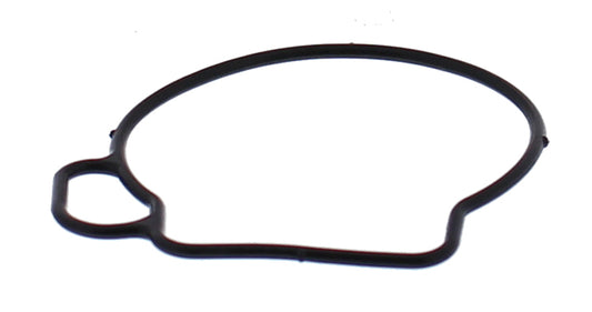 ALL BALLS Float Bowl Gasket for motorcycle carburetors, part 46-5076, showing close-up of gasket on a motorcycle carburetor component.