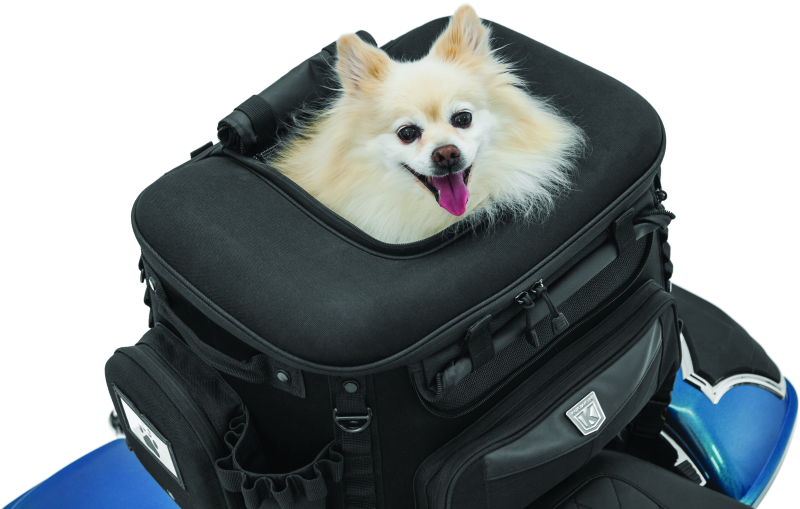 Kuryakyn Grand Pet Palace motorcycle pet carrier in black with mesh windows and secure zippers, designed for motorcycle travel.