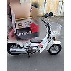 Clutch Kit - Howling Moto