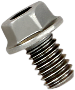AKRAPOVIC motorcycle replacement exhaust bolt P-FB40 for securing exhaust systems, shown in black with metal threading.