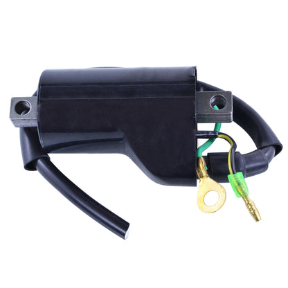 RM STATOR external ignition coil for easy replacement and reliable engine performance, shown in the image.