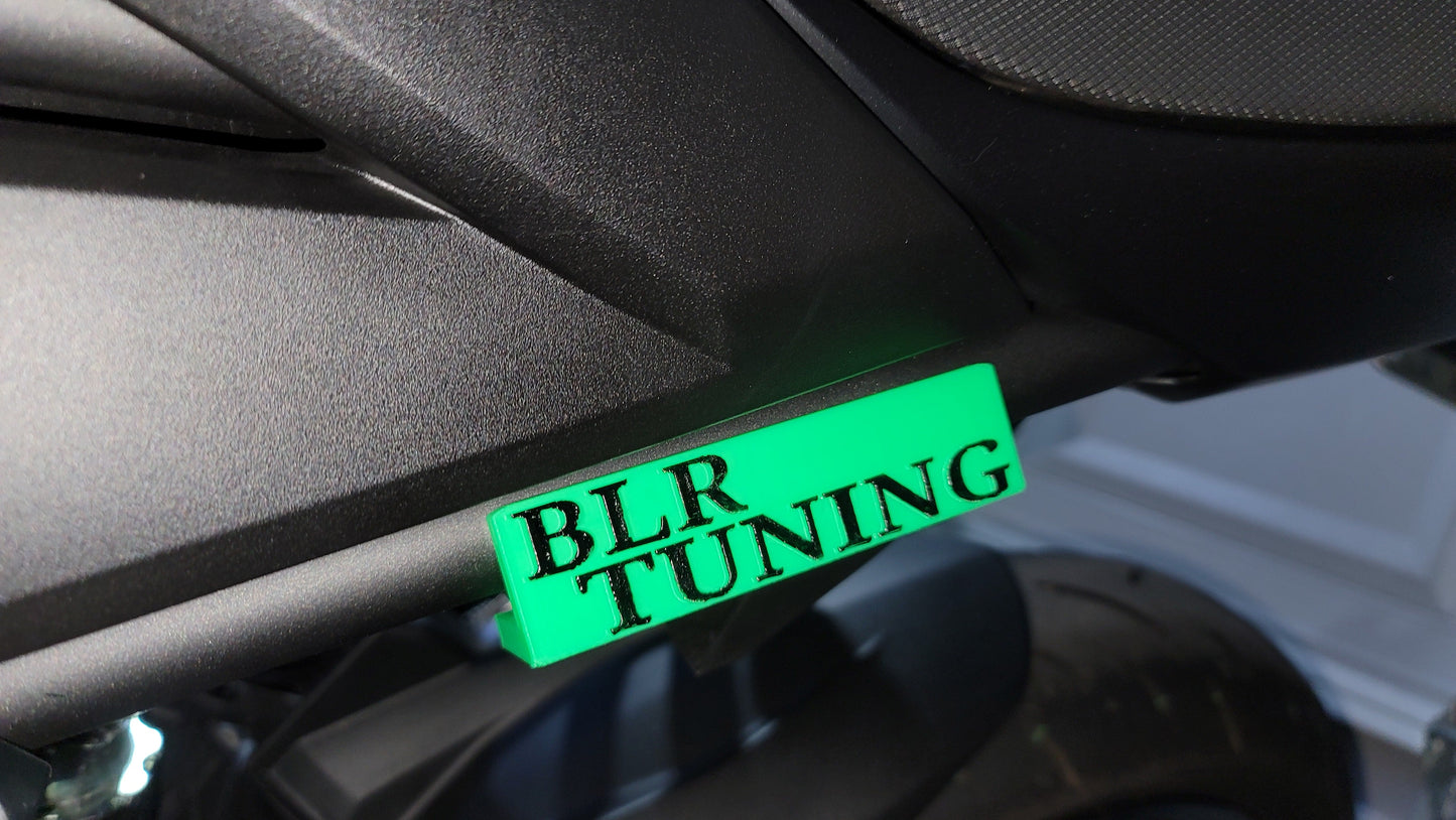 KAWASAKI Z400 & NINJA 400 PASSENGER PEG DELETE PLATE - Howling Moto
