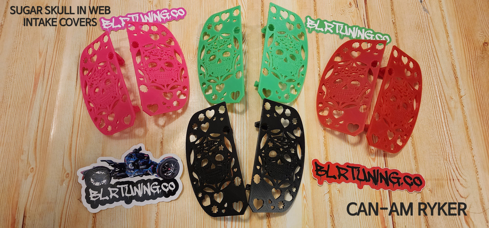 CAN-AM RYKER SUGAR SKULL IN WEB INTAKE COVERS - Howling Moto