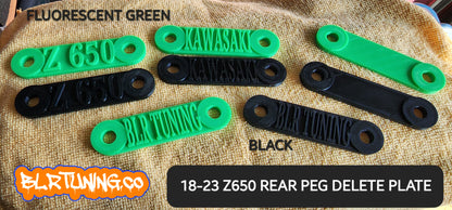 KAWASAKI Z650 PASSENGER REAR PEG DELETE PLATES - Howling Moto