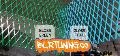 KAWASAKI Z900 RADIATOR PROTECTIVE GRILL BY BLR TUNING FITS 2017 - 2024 - Howling Moto