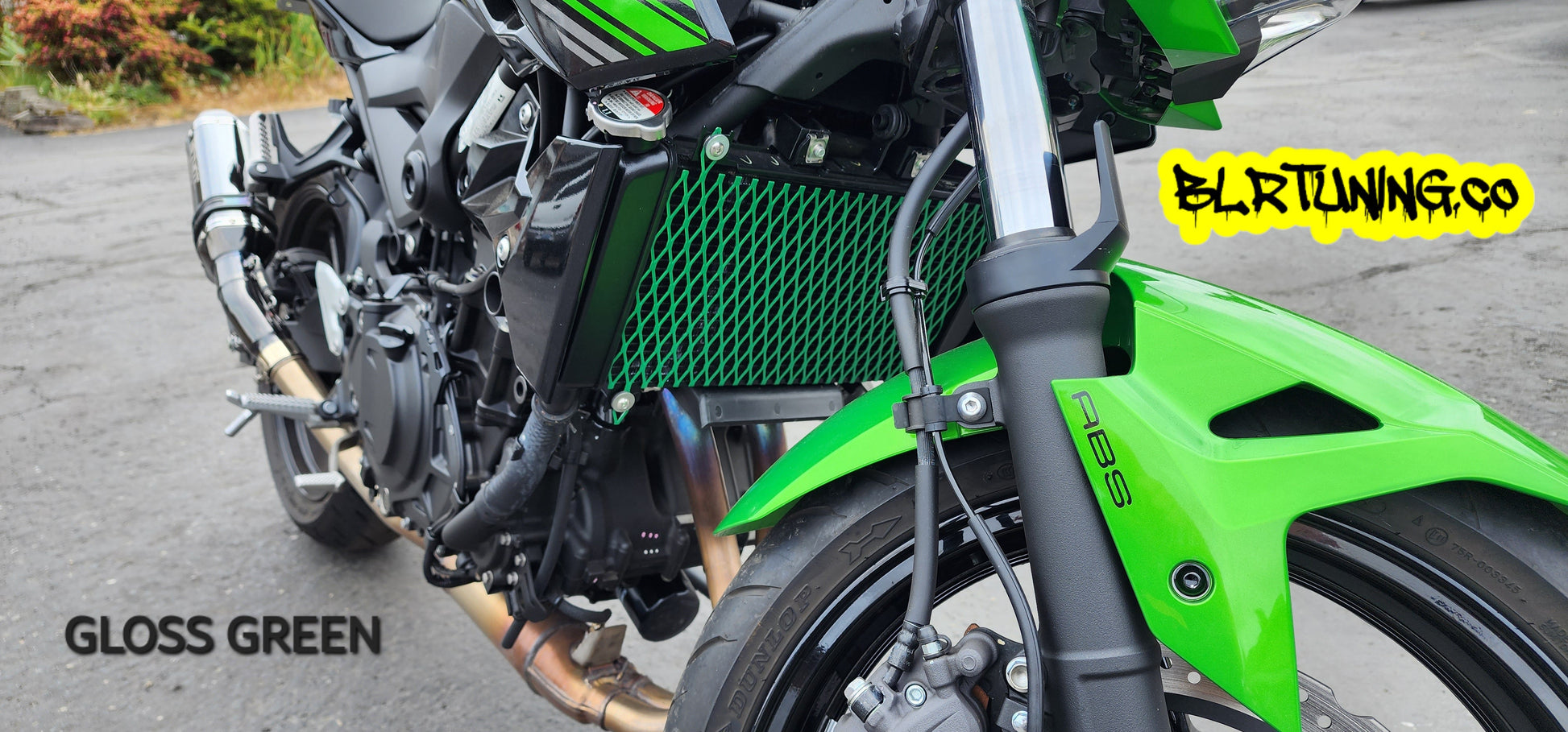 KAWASAKI Z400 & NINJA 400 Radiator Protective Grill - Howling Moto