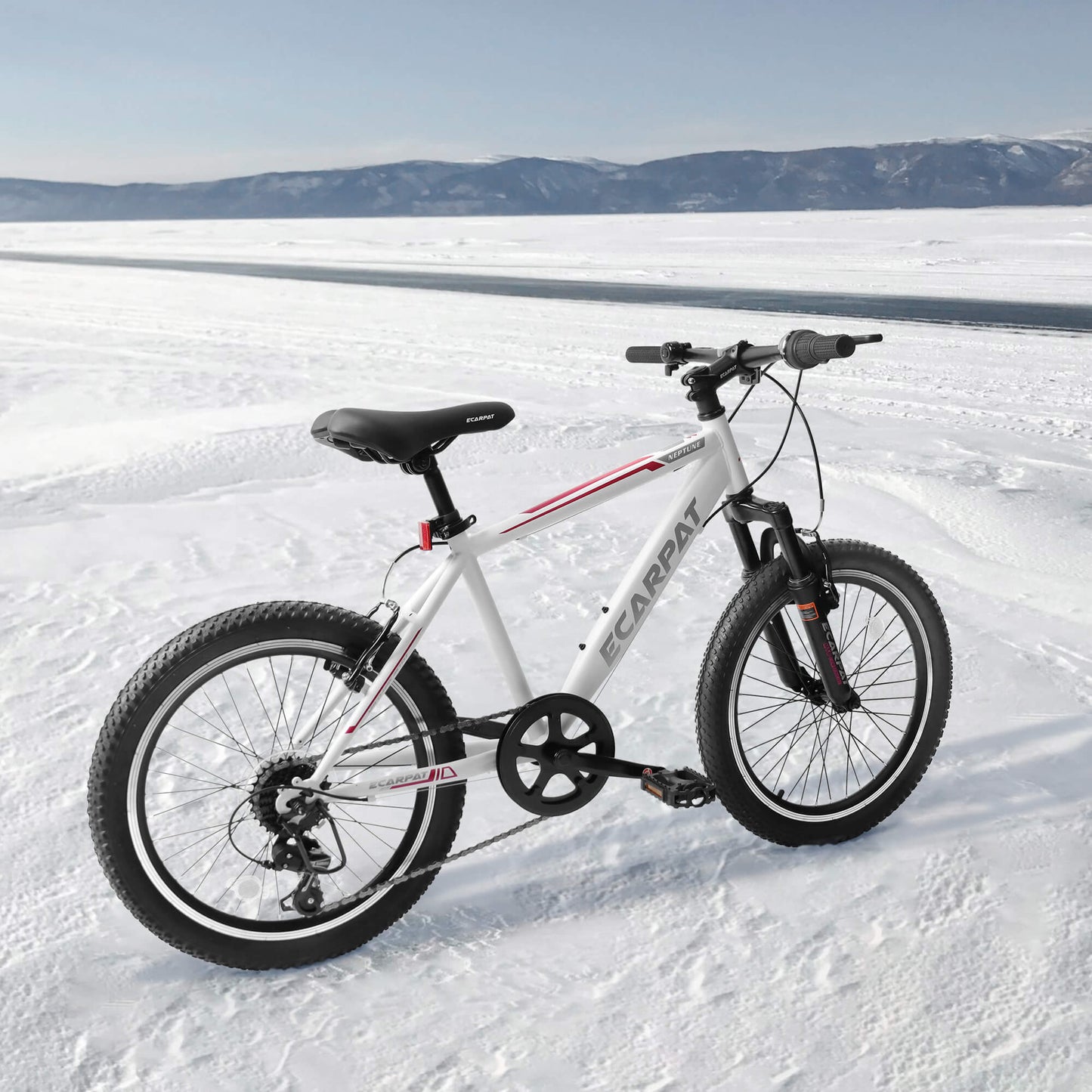 Cirle Wind - 20” - Howling Moto