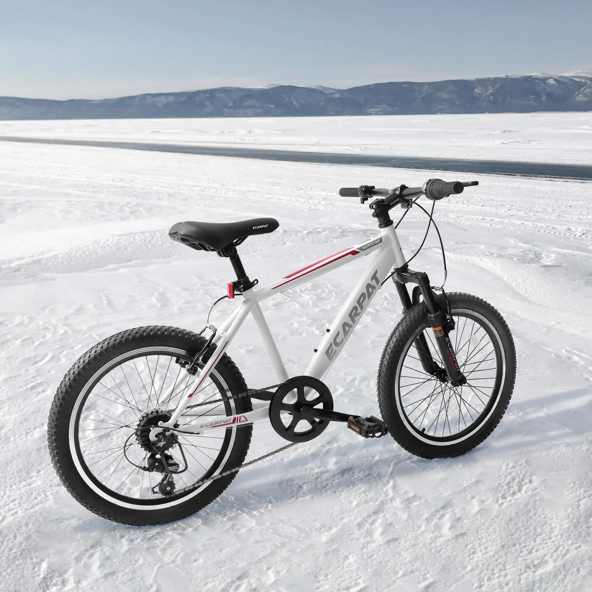 Cirle Wind - 20” - Howling Moto