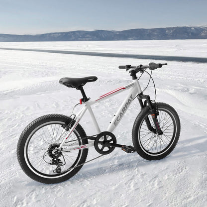 Cirle Wind - 20” - Howling Moto