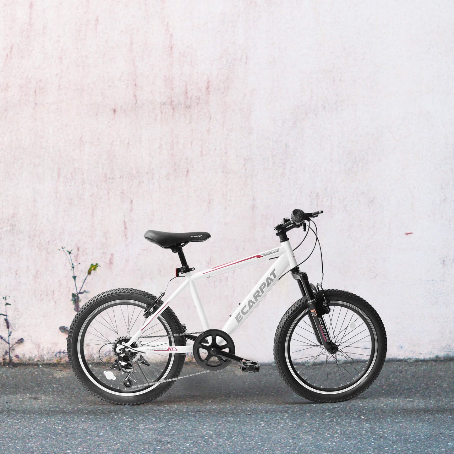 Cirle Wind - 20” - Howling Moto