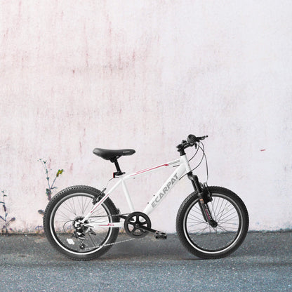 Cirle Wind - 20” - Howling Moto