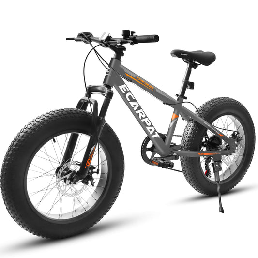 Ecarpat Arena - 20"×4" - Howling Moto