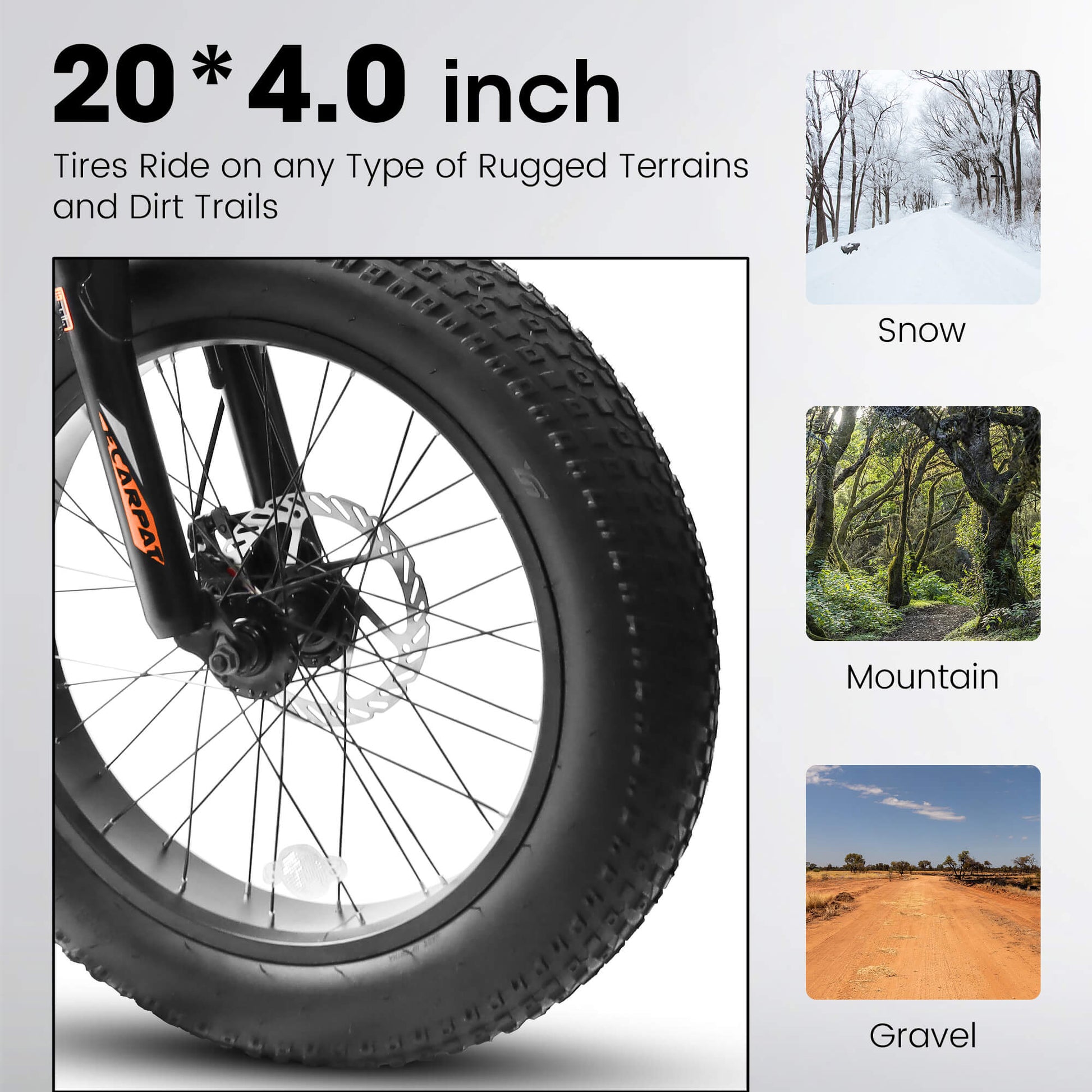 Ecarpat Arena - 20"×4" - Howling Moto