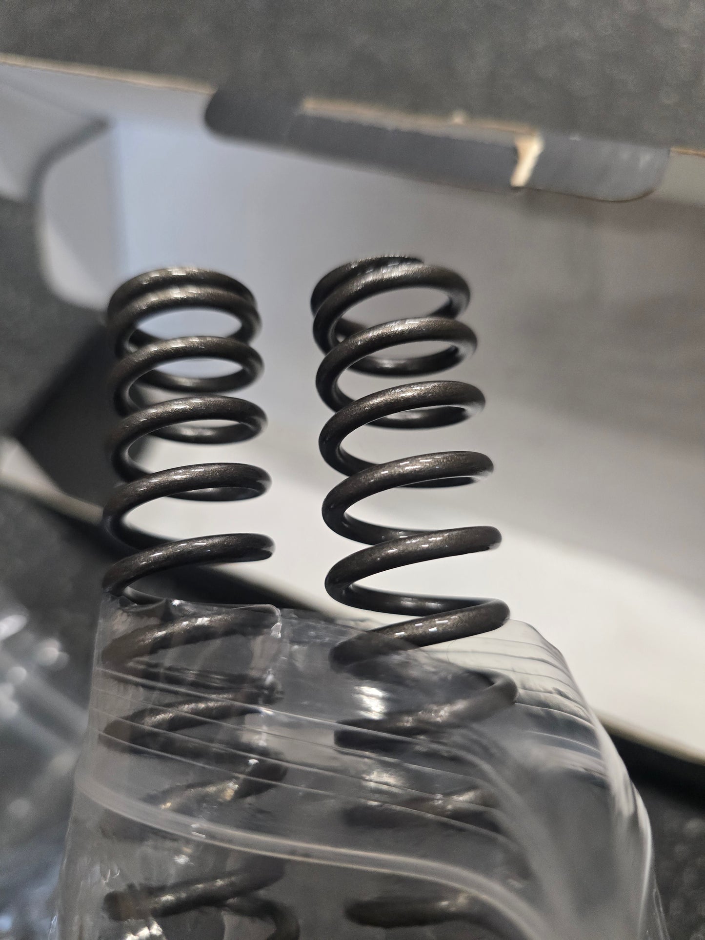 Honda OEM CRF110 Front Fork Springs and Damping Rods Set (Used) - Howling Moto