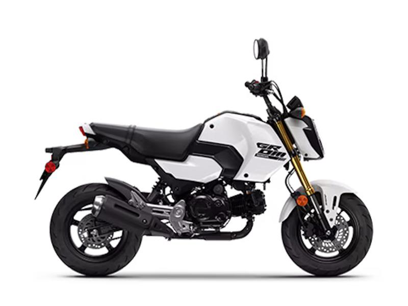 2025 Honda Grom Color Conversion