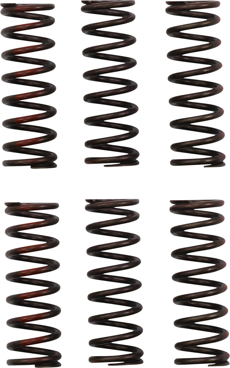 Pro Circuit clutch springs for Honda CRF 450R motorcycle, part number CSH21450-CS, shown installed on the bike.