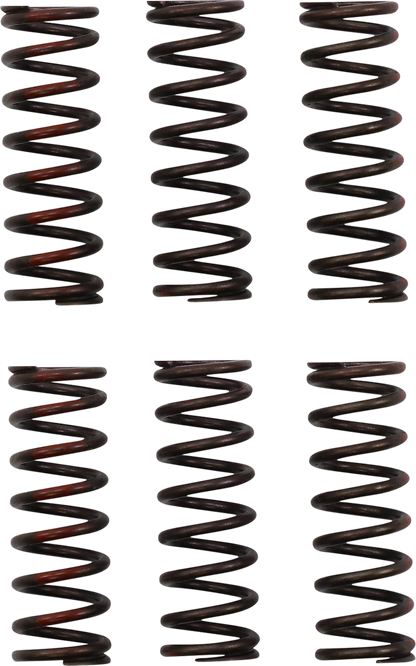 Pro Circuit clutch springs for Honda CRF 450R motorcycle, part number CSH21450-CS, shown installed on the bike.