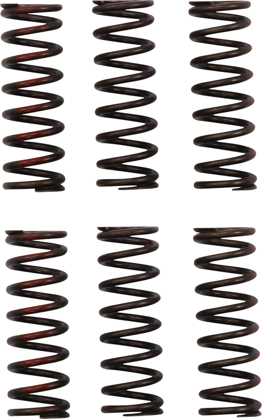 Pro Circuit clutch springs for Honda CRF 450R motorcycle, part number CSH21450-CS, shown installed on the bike.