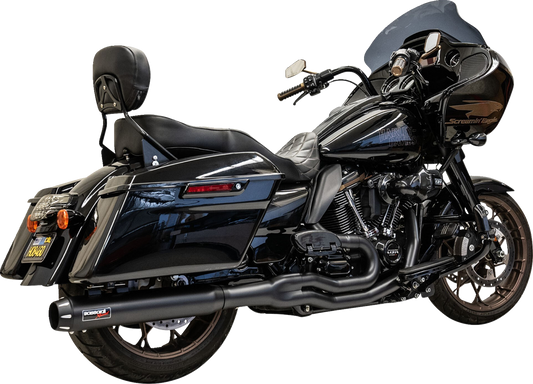 Black Bassani Xhaust 2-into-1 exhaust system for 49-state models, shown on a motorcycle with visible piping and muffler.