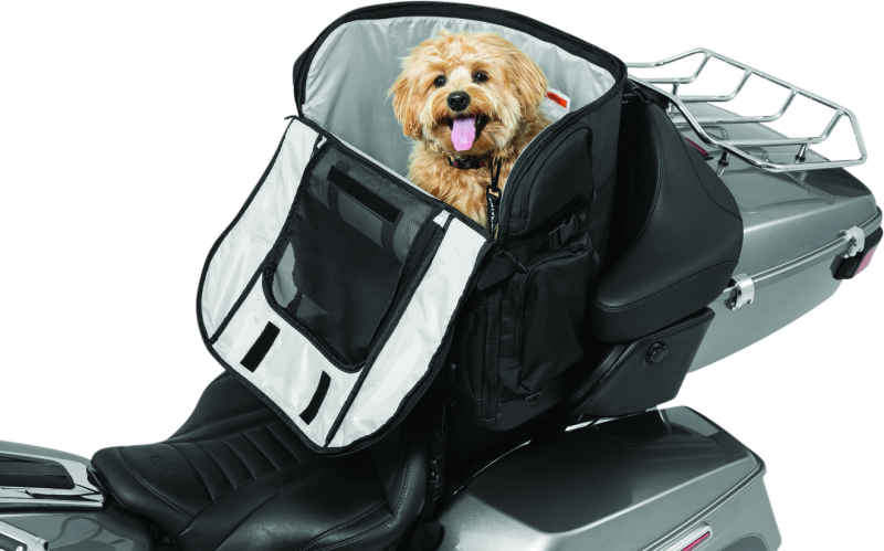 Kuryakyn Pet Palace Titan motorcycle dog and cat carrier crate with weather resistance and heat reduction features.