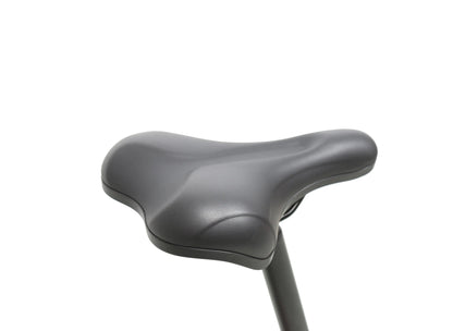 EPIK SWAN 2.0 Electric Folding Step Through E-Bike - Howling Moto