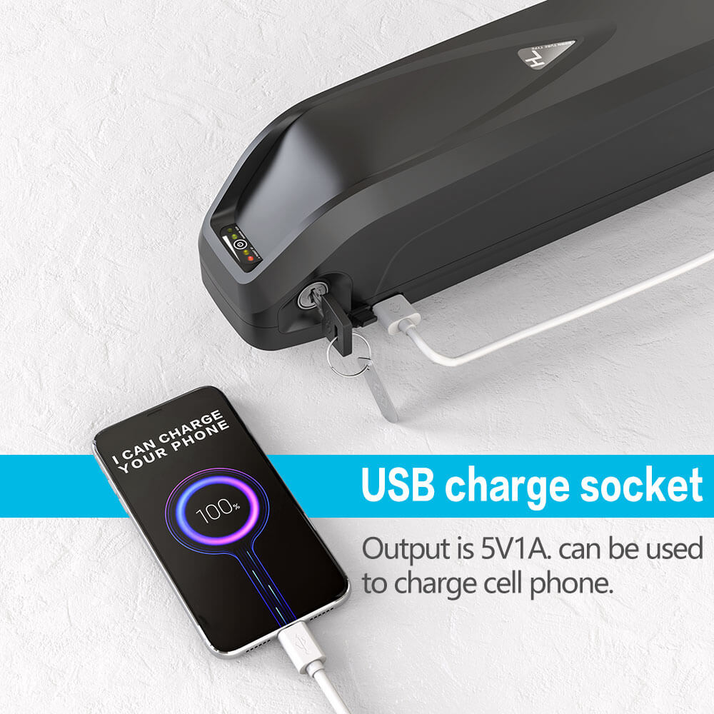 48V16AH 0-1000W Electric Bicycle Lithium Battery