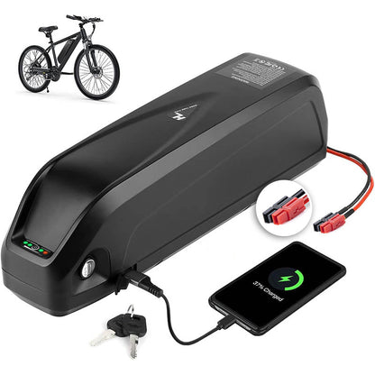 52V13AH 0-1000W Electric Bicycle Lithium Battery