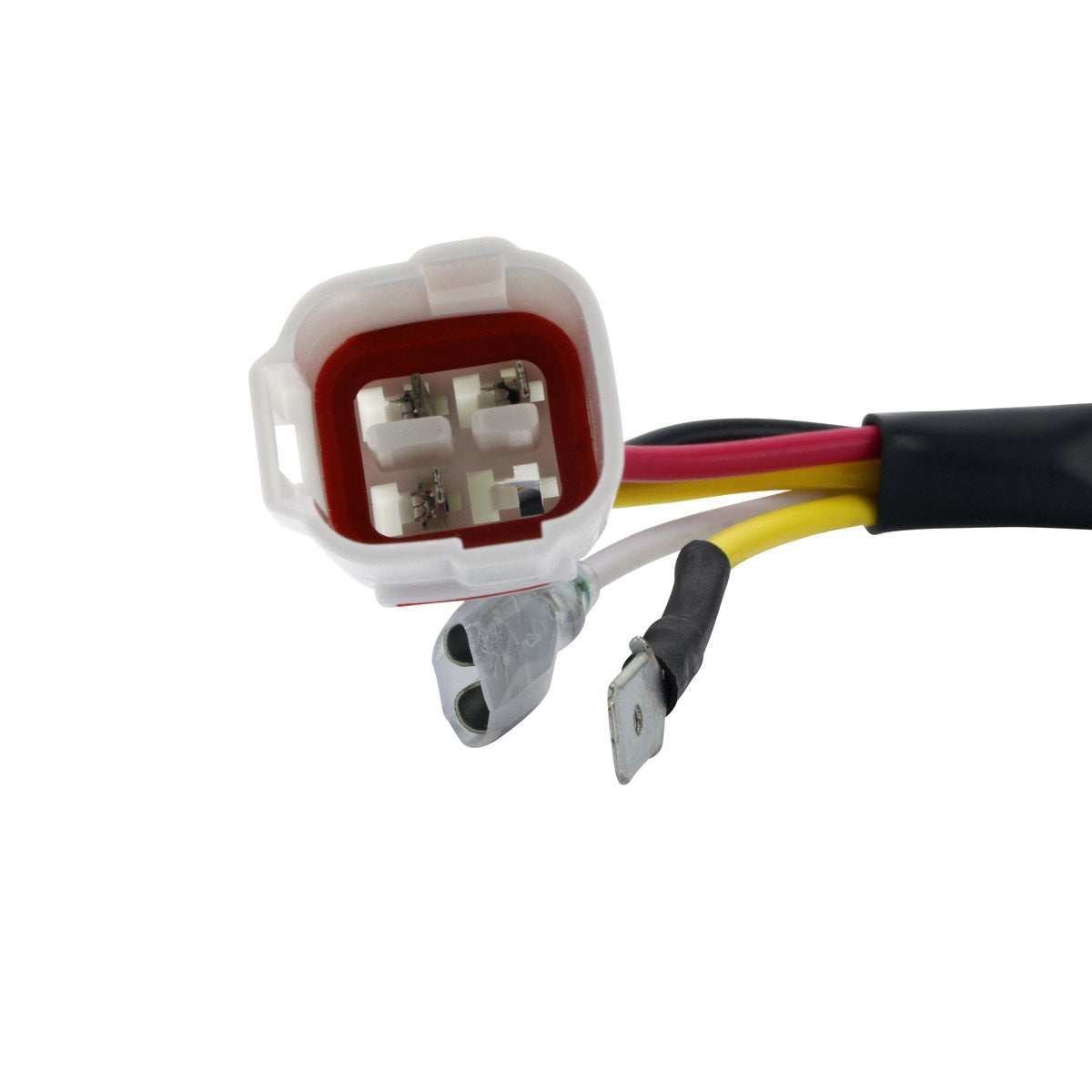 RM STATOR, RM Stator RMS900-107508 100W AC to DC Conversion Kit Stator + Regulator