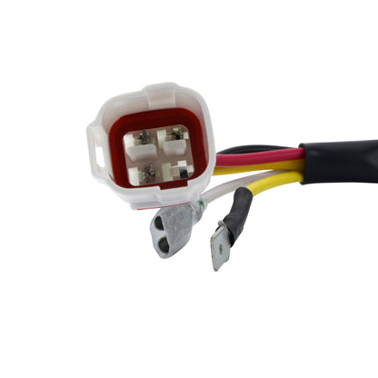 RM STATOR, RM Stator RMS900-107508 100W AC to DC Conversion Kit Stator + Regulator