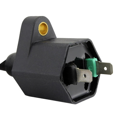 RM STATOR external ignition coil RM06172, plug-and-play replacement for motorcycle ignition systems, shown in the image.