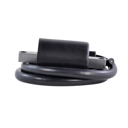 RM STATOR external ignition coil, part number RM06154, showing the coil with electrical connections and mounting features.