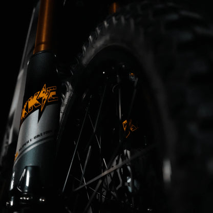 Arctic Leopard XF Electric Motorcycle