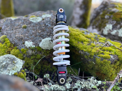 Electro & Co ETM RTR Race Shock for performance suspension upgrade, showing close-up of shock absorber with OEM ride height.