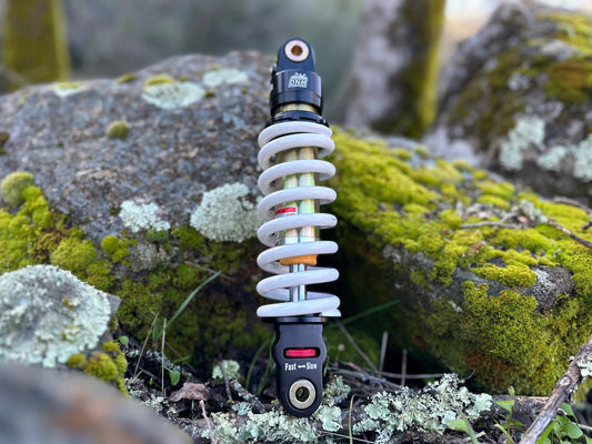 Electro & Co ETM RTR Race Shock for performance suspension upgrade, showing close-up of shock absorber with OEM ride height.