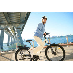 IGO Discovery Rosemont LE E-Bike - Step Through