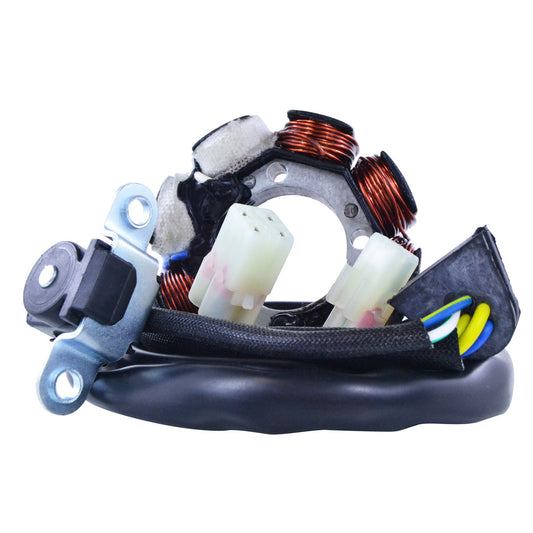 RM STATOR RMS900-104238 40W AC/DC Stator lighting kit with regulator and pickup, showing the stator and wiring components.