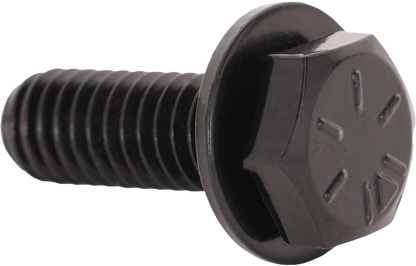 Gloss black SEDONA Beadlock 5/16 inch bolt set of 20 cap screws, used for wheel beadlock applications.