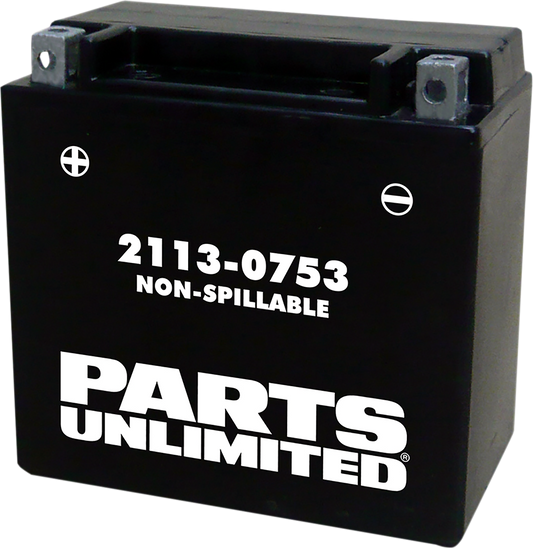Parts Unlimited AGM motorcycle battery YTX14 CTX14, maintenance-free sealed battery with terminals and compact design.