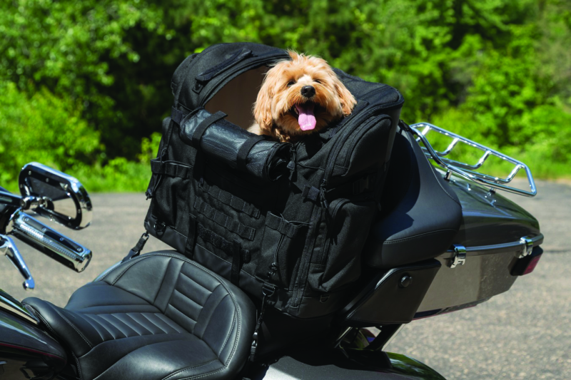 Kuryakyn Pet Palace Titan motorcycle dog and cat carrier crate with weather resistance and heat reduction features.