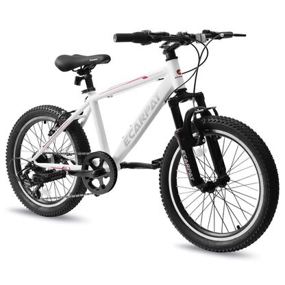 Cirle Wind - 20” - Howling Moto