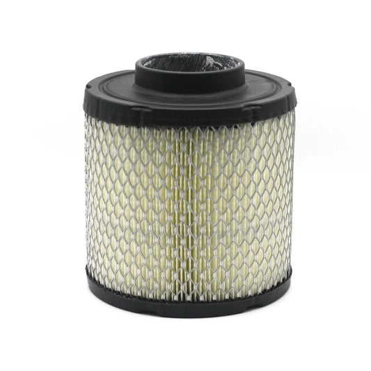 Polaris Air Filter