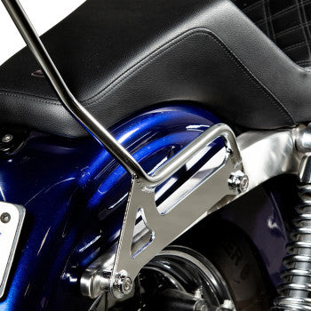 Chrome BILTWELL EXFIL Sissy Bar for FXD motorcycle, featuring sleek metal construction and mounting hardware.
