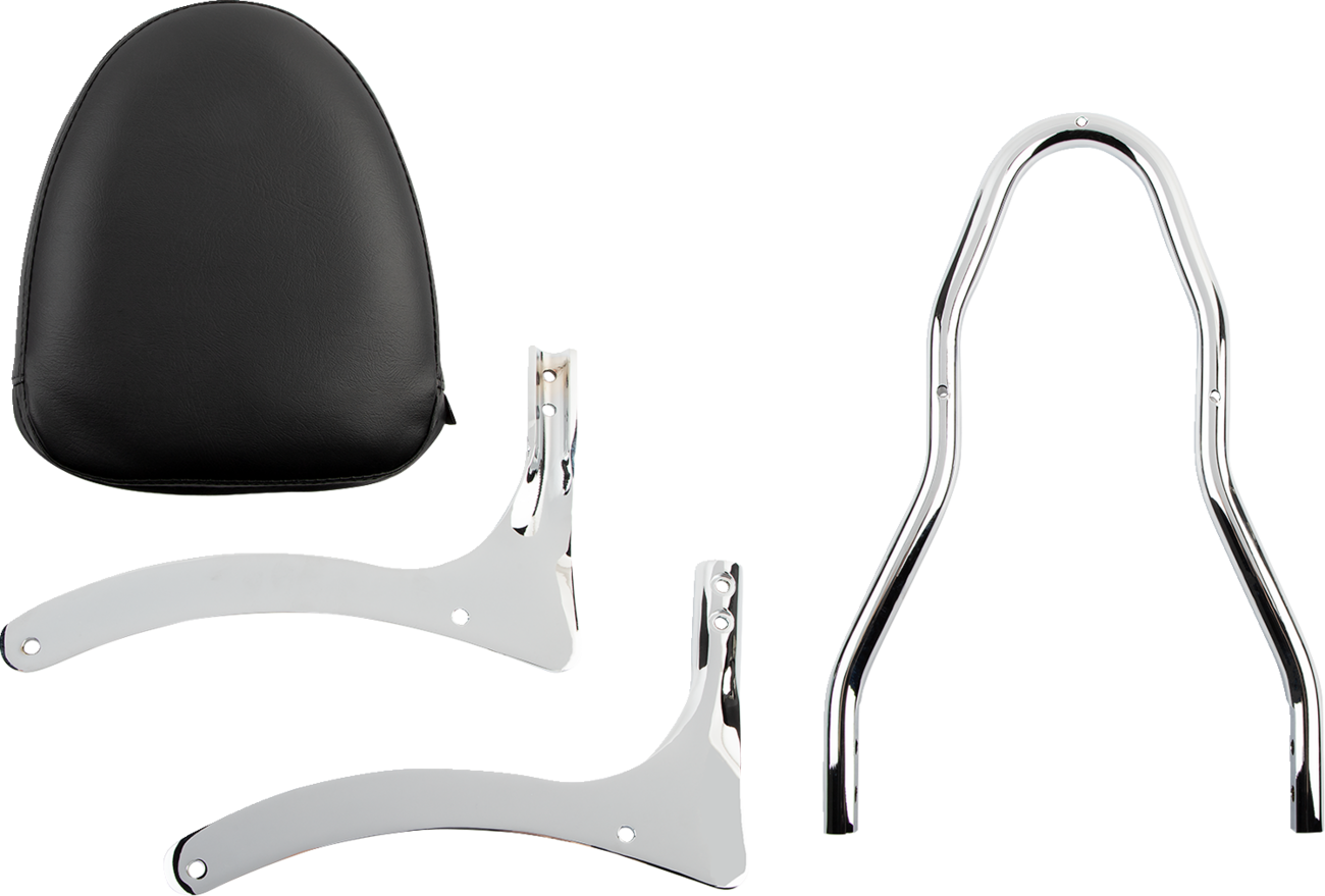 Engine sissy bar kit from Bill's Exhausts with chrome finish, featuring mounting brackets and hardware for Harley Davidson motorcycles.