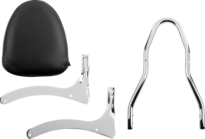 Engine sissy bar kit from Bill's Exhausts with chrome finish, featuring mounting brackets and hardware for Harley Davidson motorcycles.