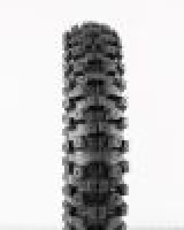 ProTaper, ProTaper MXT 04 Rear Tire 90/100-16 for Off-Road Performance and Durability