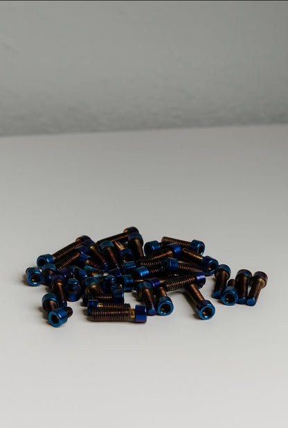 Titanium Fork Mount Bolts