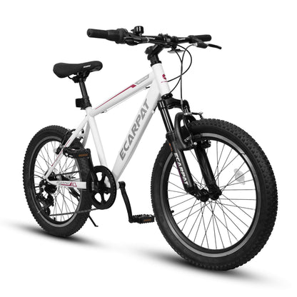 Cirle Wind - 20” - Howling Moto